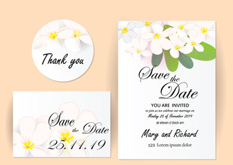 wedding invitation card set plumeria flowers with leaves on white paper background 