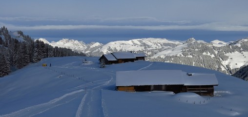 Winter scene on Mt Wispile