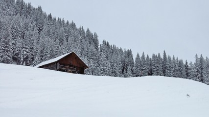 Winter day in the Swiss Alps