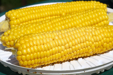Fresh boiled corn cobs on plate