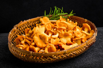 Raw wild chanterelle mushrooms in basket on a black background