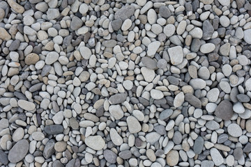 Nature background from gray sea pebbles