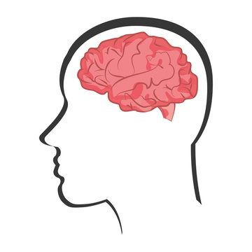 flat design human brain in head icon vector illustration