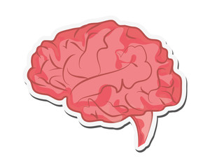 flat design human brain icon vector illustration