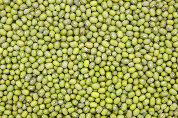 Close-up and detail of green beans background