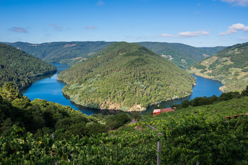 Cabo do Mundo meander in the river Minho, Lugo (Spain)