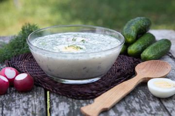 Russian spring-summer cold soup with vegetables with kefir
