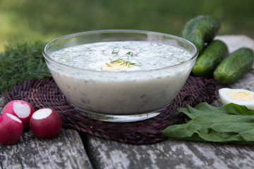 Russian spring-summer cold soup with vegetables with kefir
