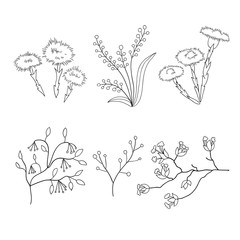 Vector hand drawn spring floral illustration set. Flowers and branches