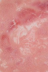 Fototapeta premium squared slice of lean pork ham