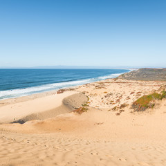 Sand dune on the beach near Monterey. Sand City, California.  Bay of the Pacific Ocean