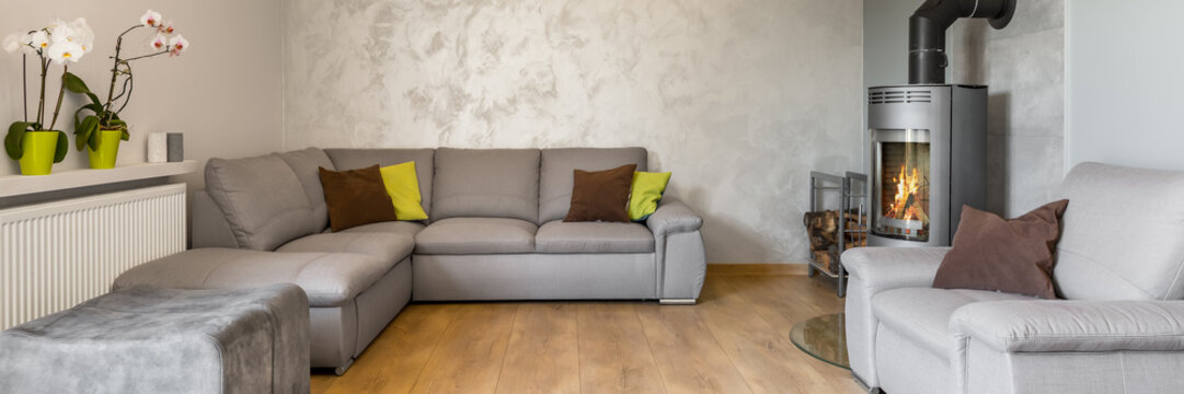 Beautiful living room in grey