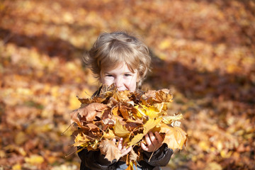 Cute small boy with autumn leaves.