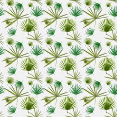 Palm trees seamless pattern. Vector illustration.