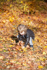 Small boy having fun with autumn leaves.