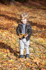 Cute boy playing in autumn.