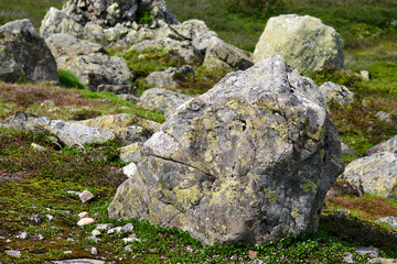 Large granite rock standing between boulders on a moss and heather covered ground in Telemark, Norway