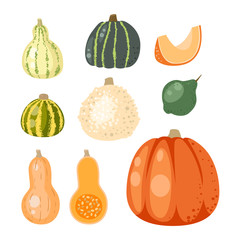 Pumpkin vector illustration isolated