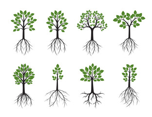Set Trees and Roots. Vector Illustration.