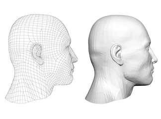 Polygonal head