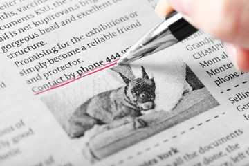 Naklejka premium Search newspaper advertisements for information