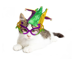 Kitten Wearing Mardi Gras Hat and Glasses © adogslifephoto