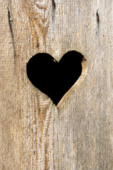 Herz in Holzwand