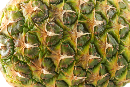 Pineapple, closeup