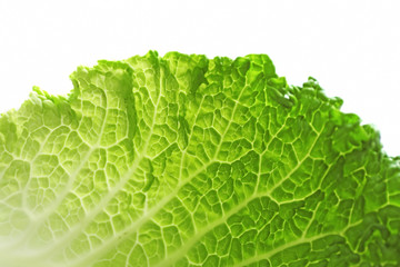 Savoy cabbage leaf, closeup