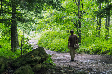 Man hiking through forested area.