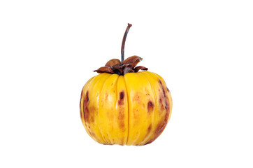 Garcinia cambogia fruit, isolated on white. Fruit for diet and good health. 