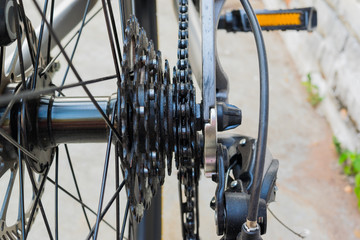 Bicycle's detail view of rear wheel with chain & sprocket
