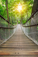 Obraz premium suspension bridge in the quiet forest