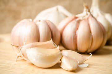 Garlic