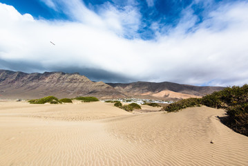 Sand dunes on the beach Famara.  Lanzarote. Canary Islands. Spain