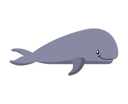 whale fish isolated icon