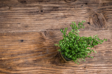 Bundle of fresh thyme on a table