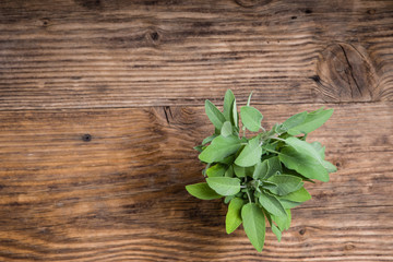 Fresh sage herb on wooden table