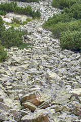 Fototapeta premium Moraine on the mountain slope.Large stone rocks moraine in Pirin national park,Bulgaria