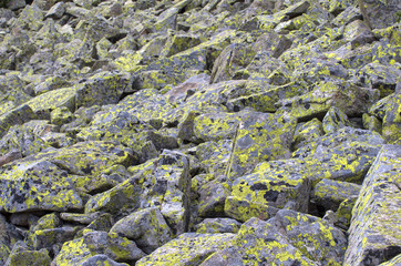 Moraine on the mountain slope.Large stone rocks moraine in Pirin national park,Bulgaria

