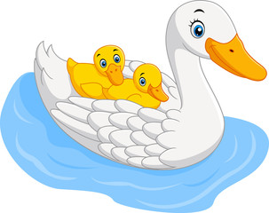 Cute duck family