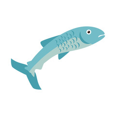 fish animal sea ocean food nature marine vector illustration