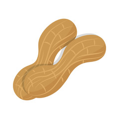peanut food natural health organic protein vector illustration 