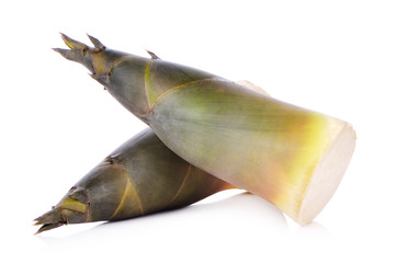Bamboo shoots on white background