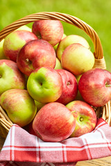 Beautiful apples on garden background on the old barrel