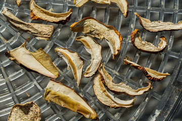 drying mushrooms