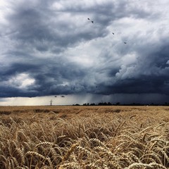 thunderstorm, dark clouds and rain