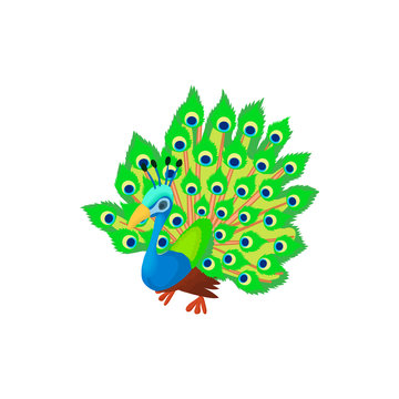 Peacock icon in cartoon style isolated on white background. Bird symbol
