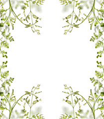 Obraz na płótnie Canvas green young spring fern branches frame