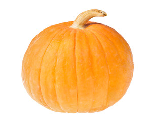 small yellow pumpkin isolated on white